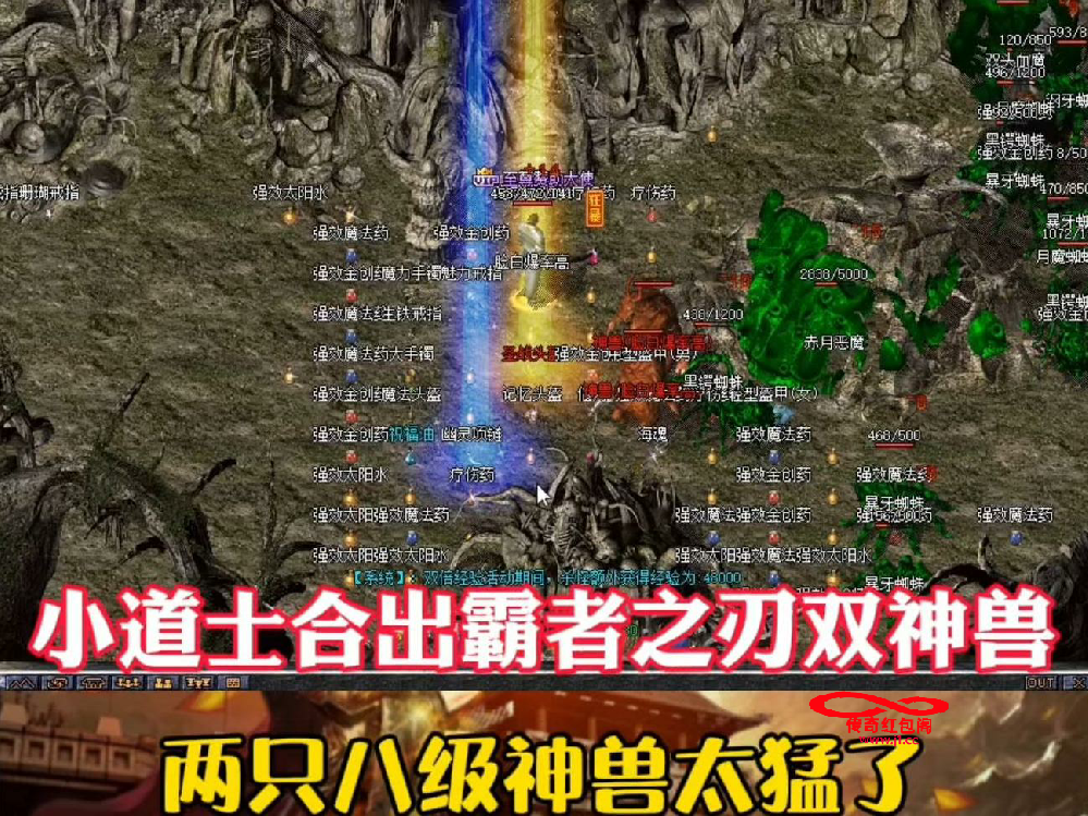 一、j1.cc平台简介